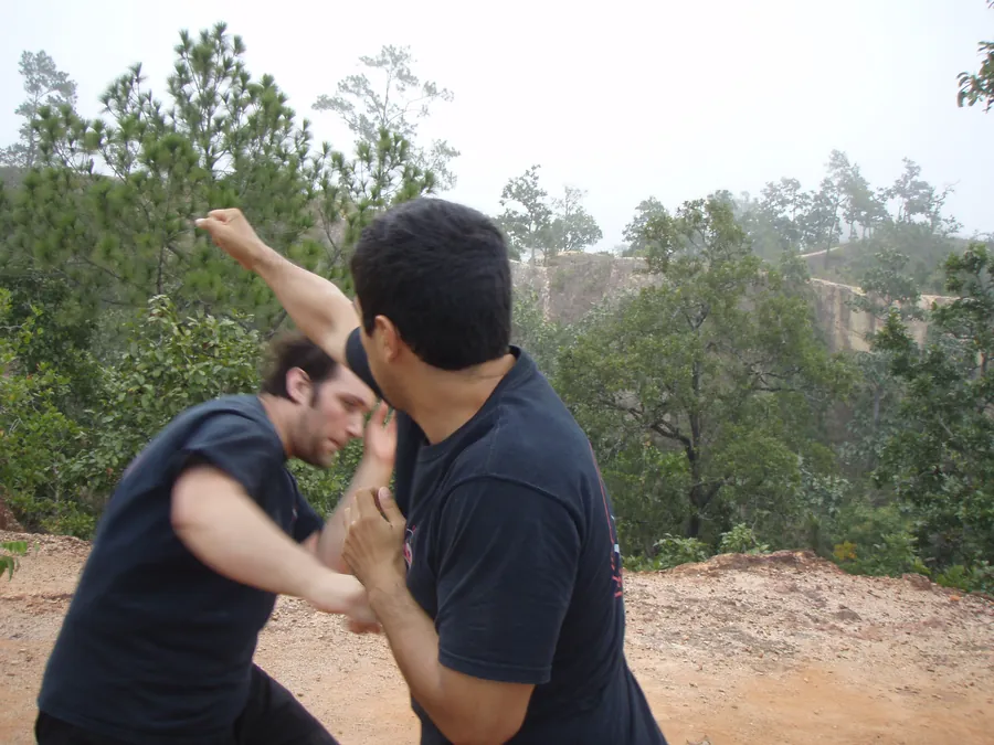 Two students drill a high block and a strike on a hilltop among pine trees